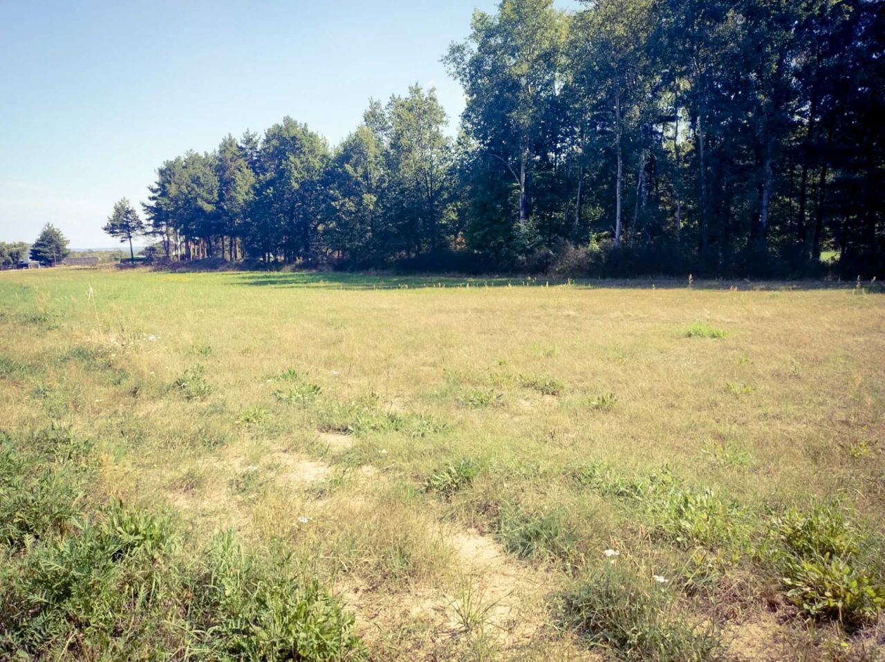 Działka budowlana Końskie, ul. Gimnazjalna. Zdjęcie 5