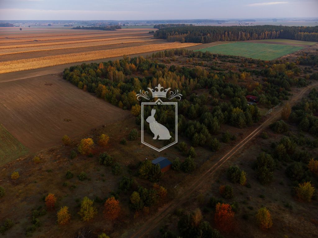 Działka budowlana Gnojno. Zdjęcie 9