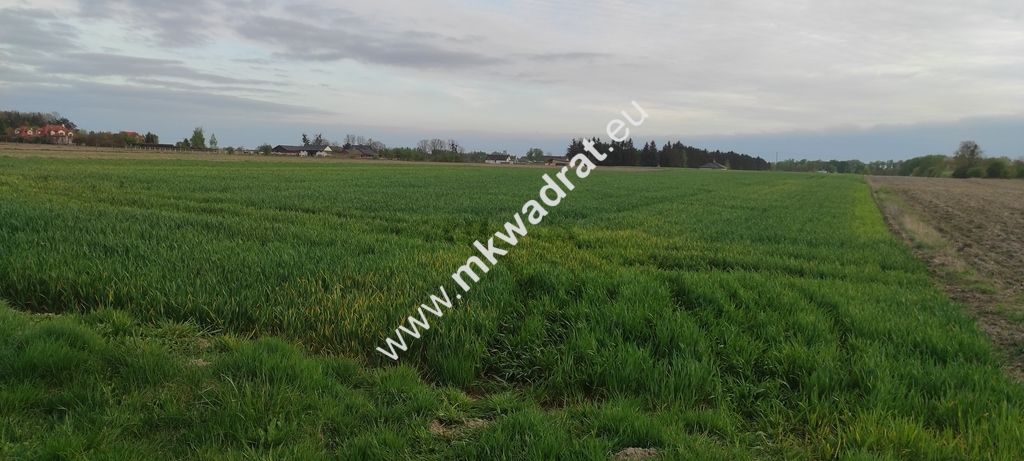 Działka budowlana Pasikonie. Zdjęcie 3
