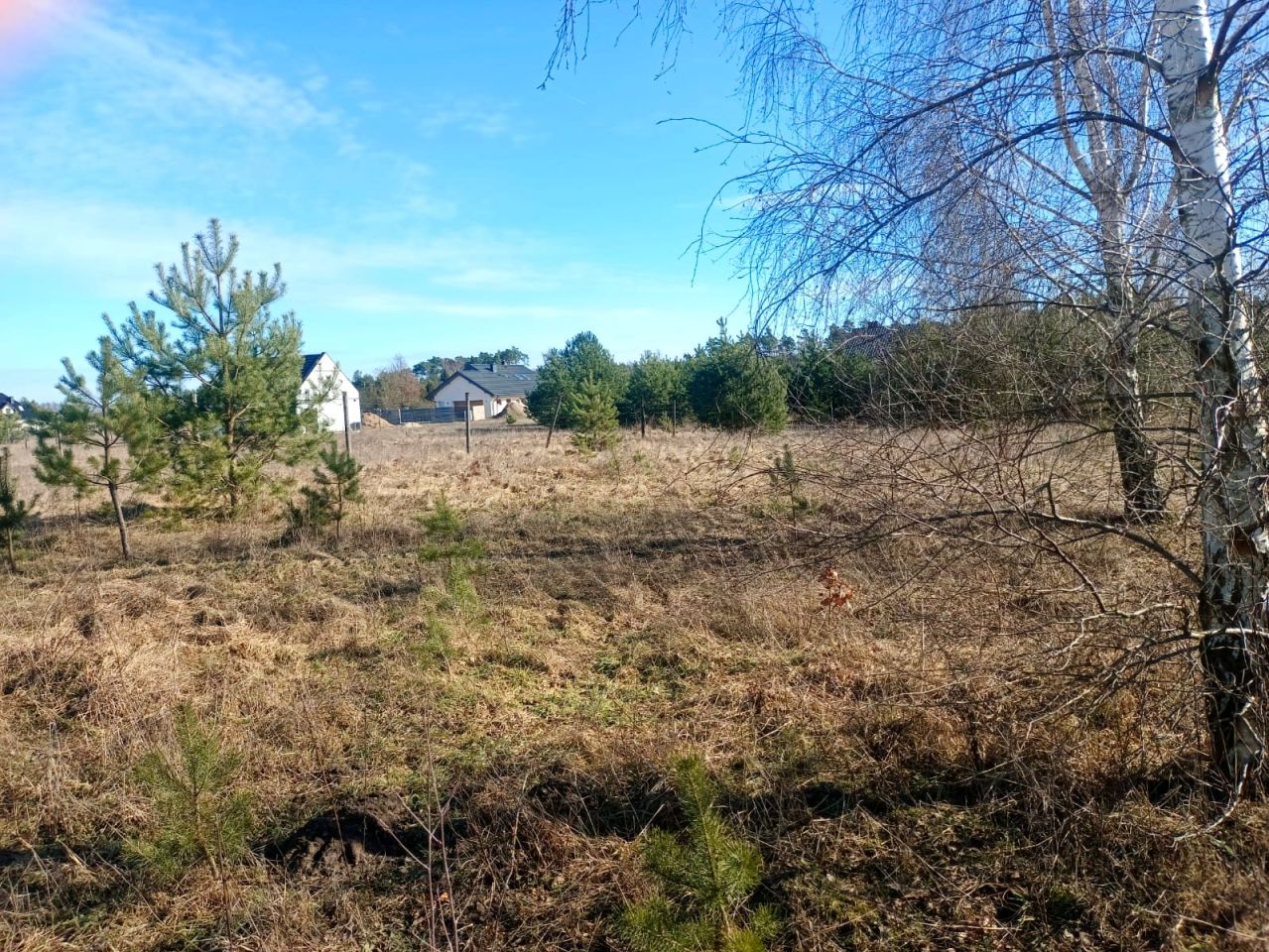 Działka budowlana Stronno, ul. Skowronkowa. Zdjęcie 2