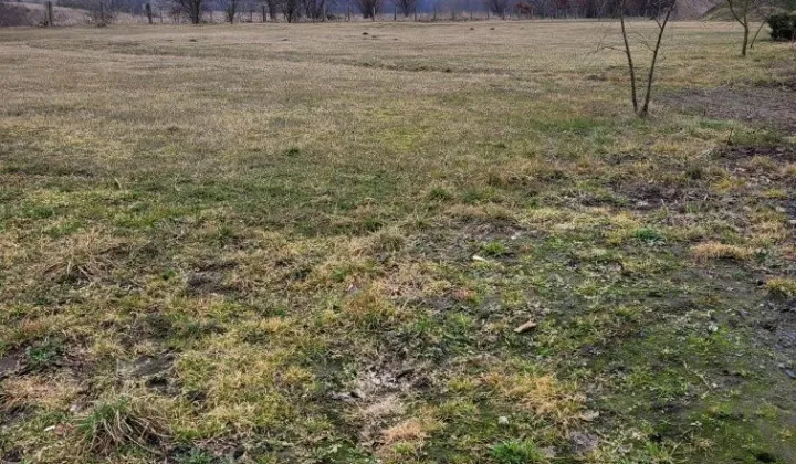 Działka budowlana Nowogard, ul. Radosława