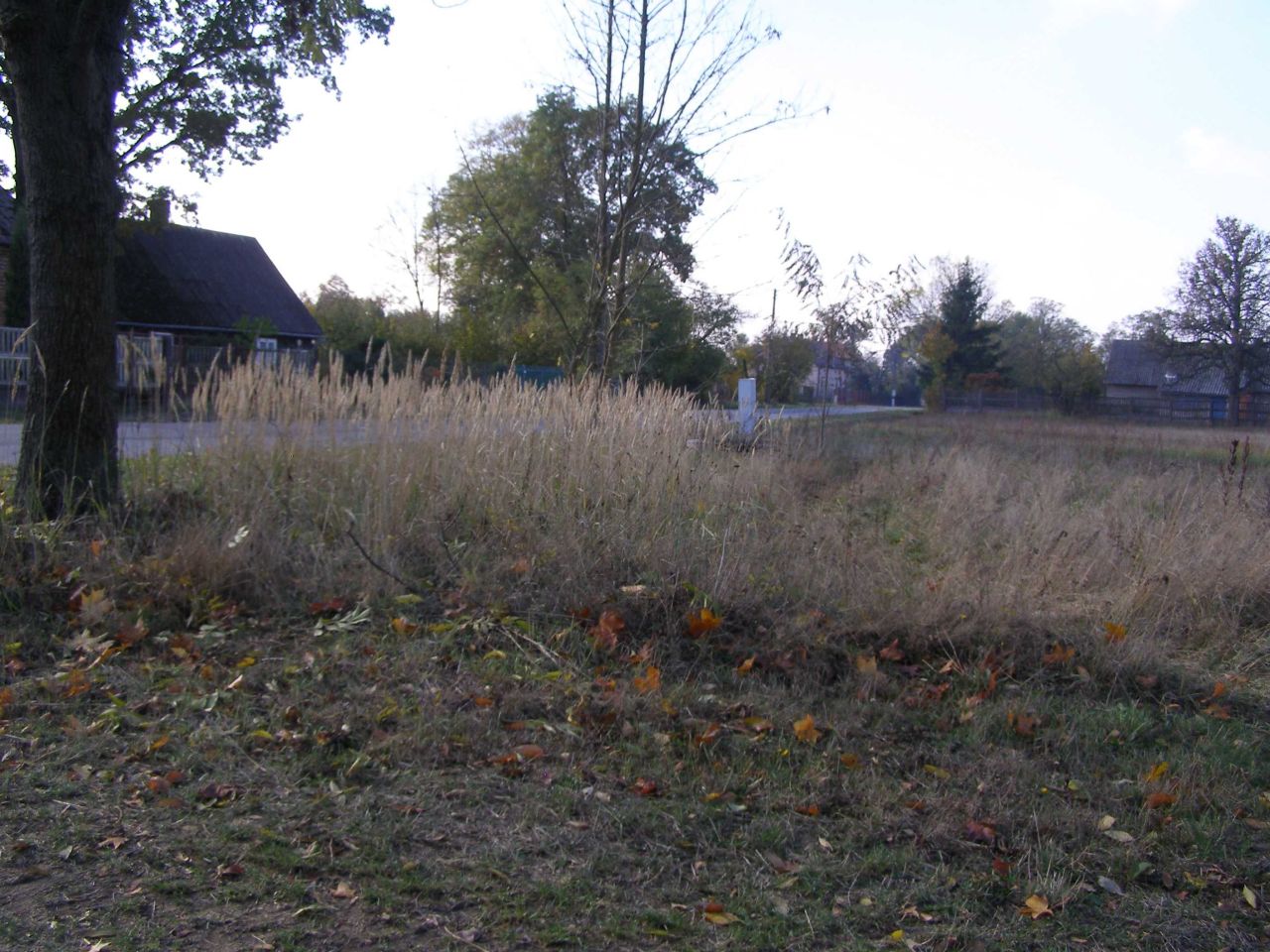 Działka rolno-budowlana Magdalenów. Zdjęcie 3