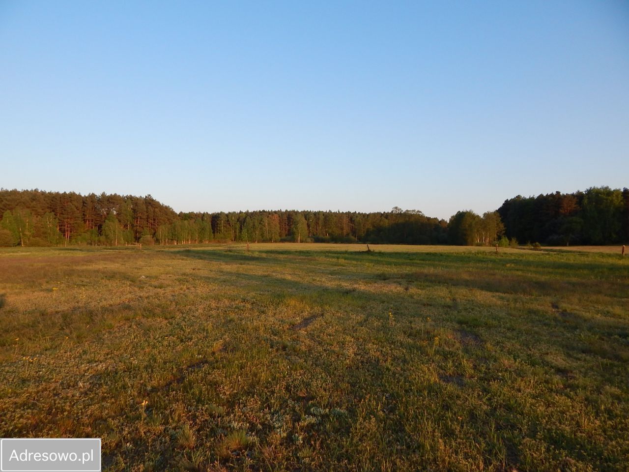 Działka rolno-budowlana Rąpin. Zdjęcie 9