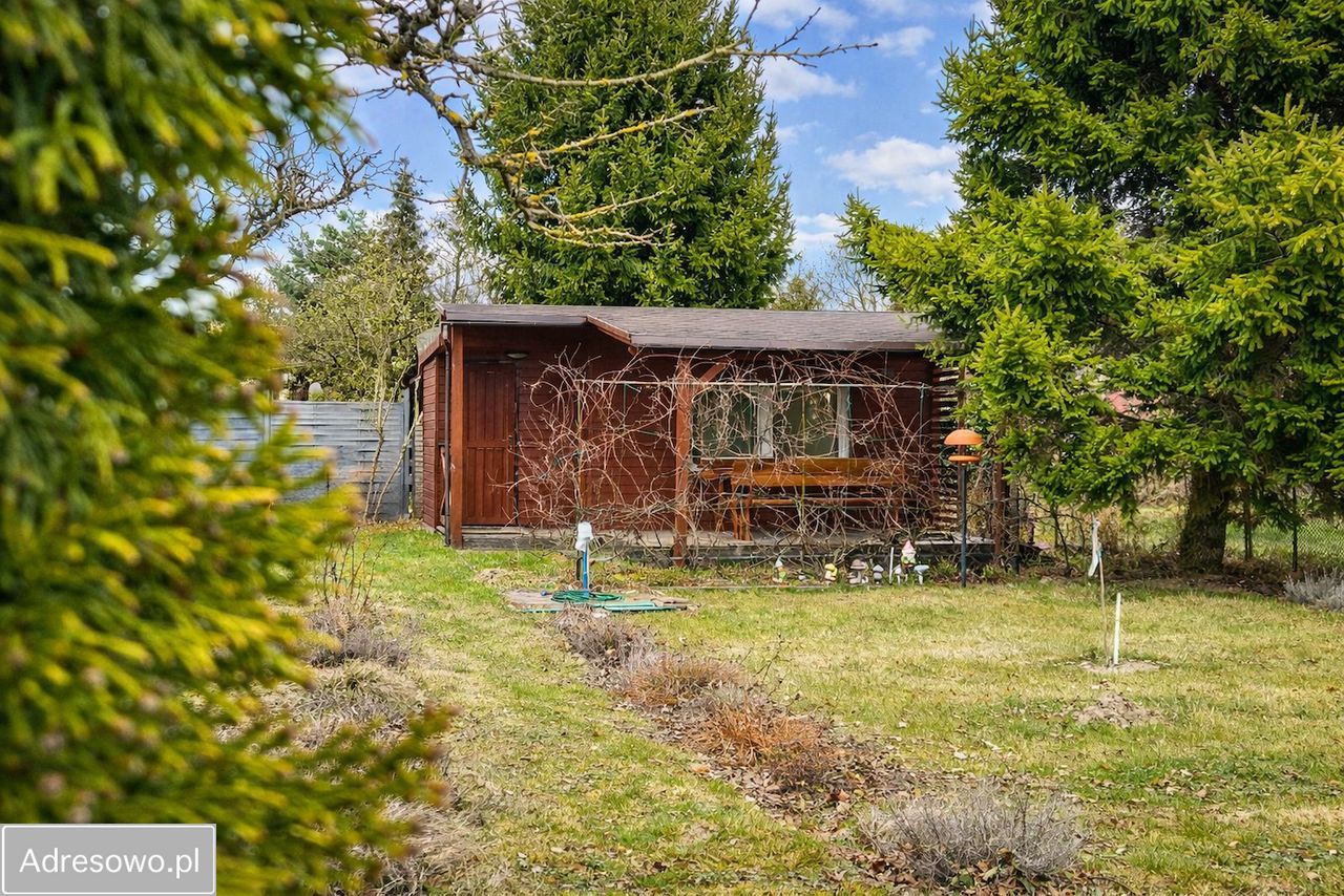 Działka rod Poznań Nowe Miasto, ul. Głuszyna. Zdjęcie 6