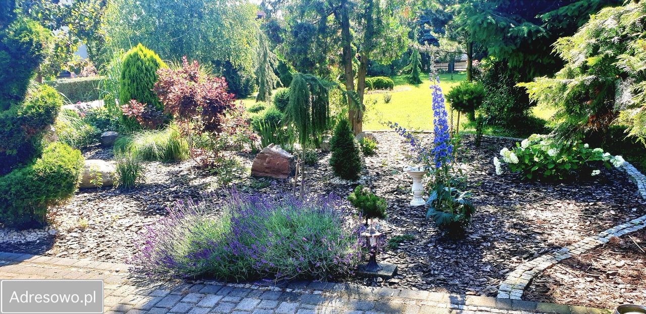 dom wolnostojący, 10 pokoi Pogorzela, ul. Glinki. Zdjęcie 11