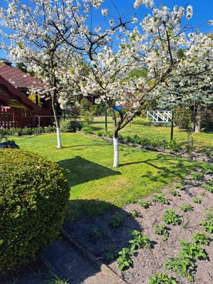 Działka rekreacyjna Ruda Śląska, ul. Szpitalna. Zdjęcie 7