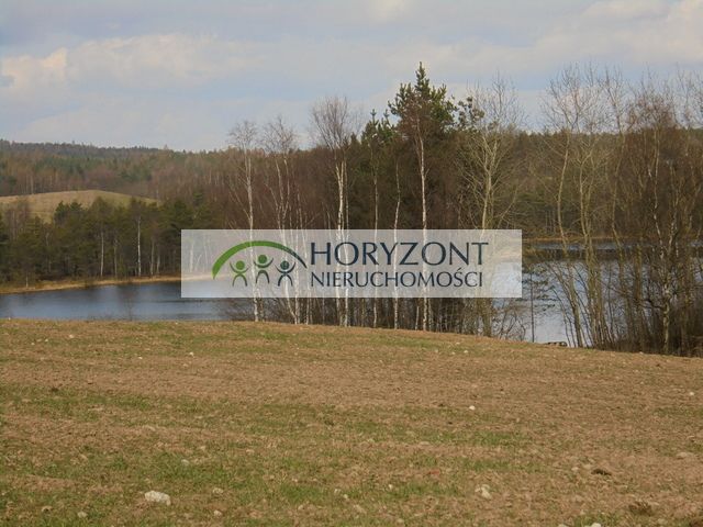 Działka Grabowska Huta. Zdjęcie 2