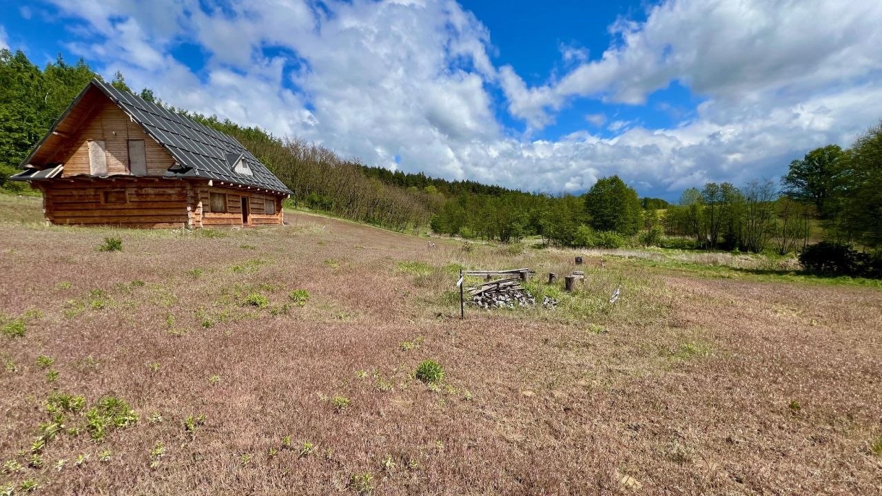 Działka rolno-budowlana Lisie Kąty. Zdjęcie 3