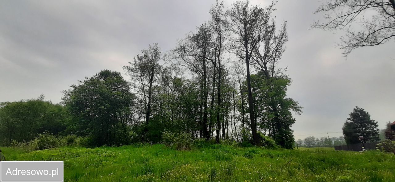 Działka budowlana Rybarzowice, ul. Za Wodą. Zdjęcie 6