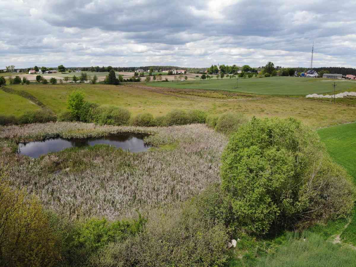 Działka rolno-budowlana Odry, al. Topoli. Zdjęcie 8