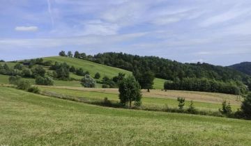 Działka budowlana Zahoczewie, Brak