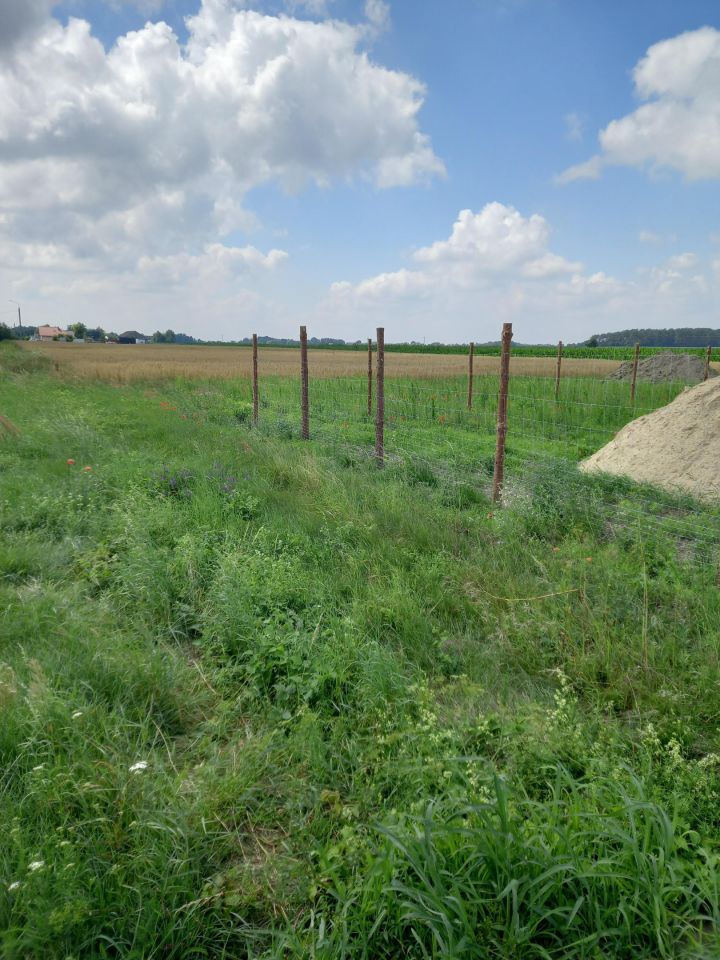 Działka rolno-budowlana Galomin. Zdjęcie 2