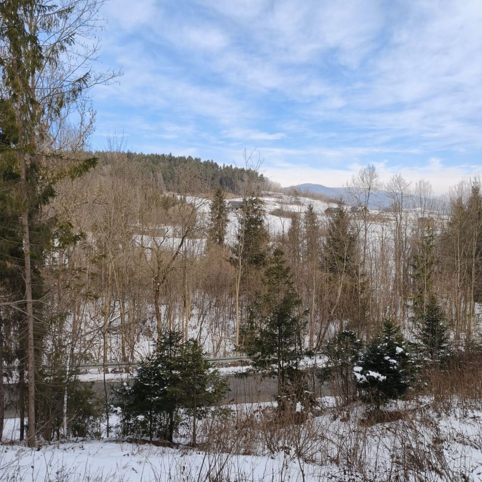 Działka budowlana Raba Niżna. Zdjęcie 4