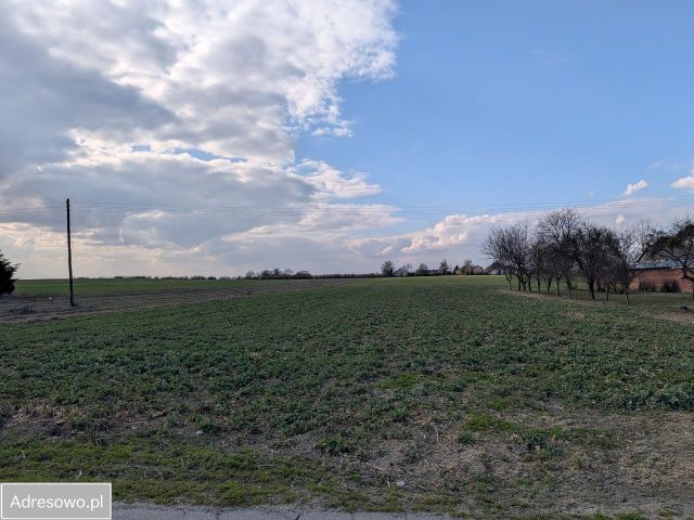 Działka budowlana Zagrody, ul. Cisowa. Zdjęcie 1