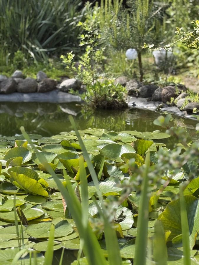 Działka rod Prawda. Zdjęcie 15