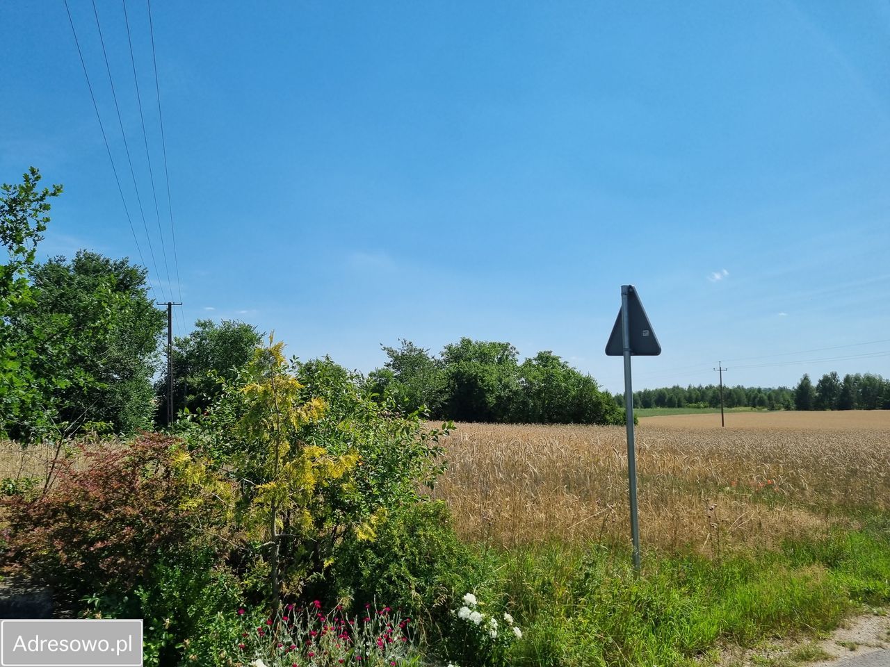 Działka budowlana Bysław. Zdjęcie 6