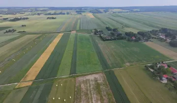 Działka na sprzedaż bez pośredników 
 
 Marcinkowice - Widok 5