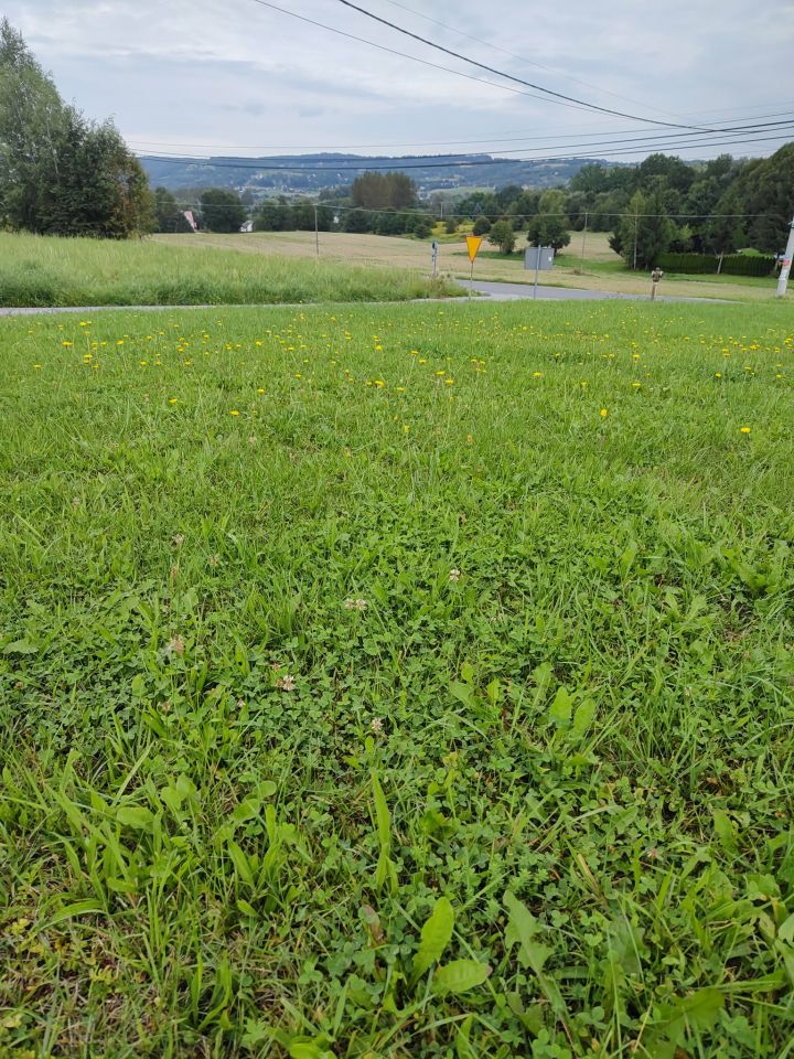 Działka budowlana Tuchów, ul. Jana III Sobieskiego. Zdjęcie 6