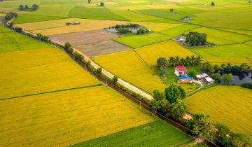 Działka rolna Wierzchlesie