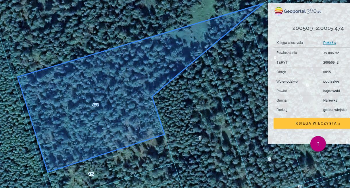 Działka rolna Stare Masiewo. Zdjęcie 6