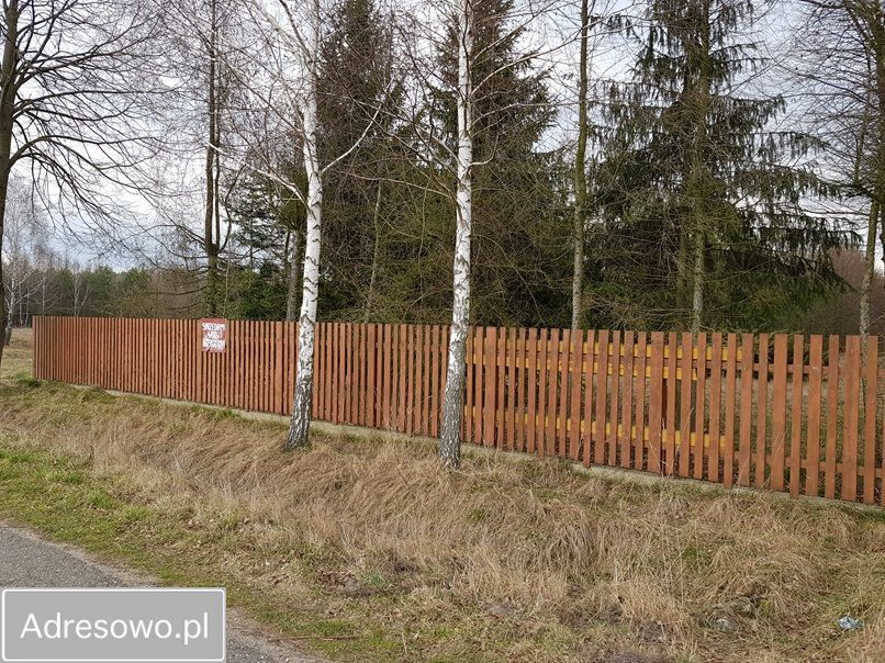 Działka rolna Ossówno. Zdjęcie 10