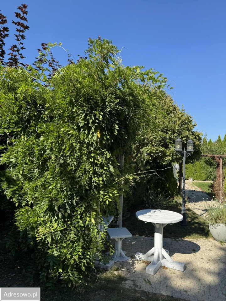 Działka budowlana Płock Borowiczki-Cukrownia, ul. Borowicka. Zdjęcie 7