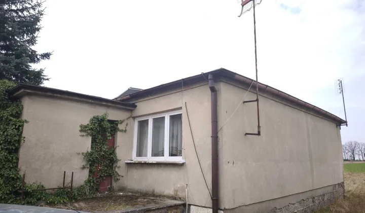 dom wolnostojący Lewkowiec