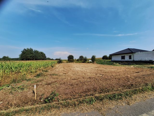 Działka budowlana Gorzyce, ul. Bolesława Prusa. Zdjęcie 1