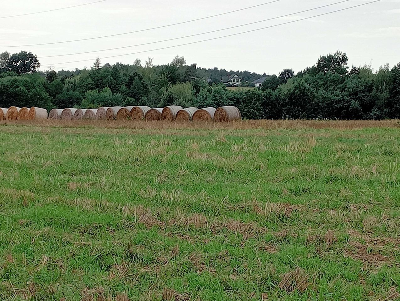Działka budowlana Jastrzębie-Zdrój Zdrój, ul. Klubowa. Zdjęcie 2