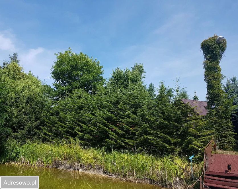 Działka budowlana Kolonia Sójki. Zdjęcie 6