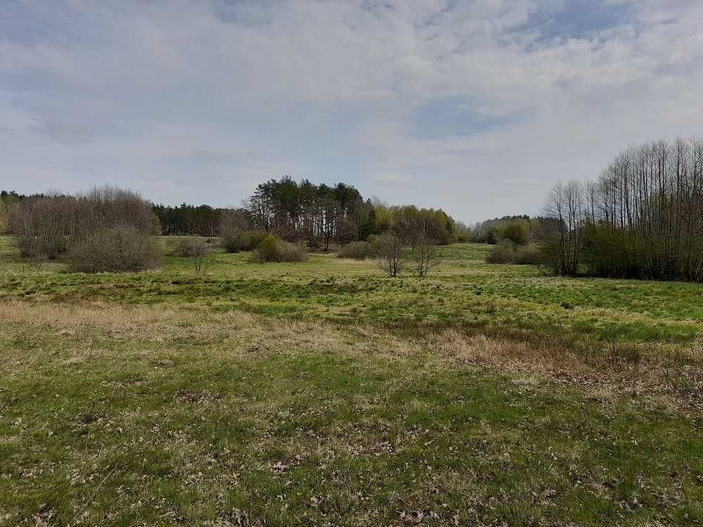 Działka rolna Sadkowo. Zdjęcie 1