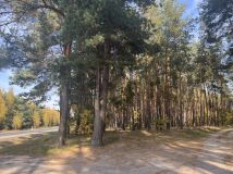 Działka budowlana Elżbiecin. Zdjęcie 4