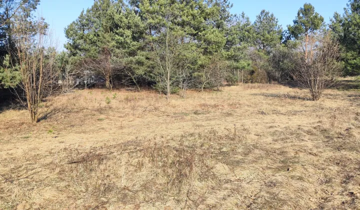 Działka budowlana Mława Piekiełko, ul. Piekiełko