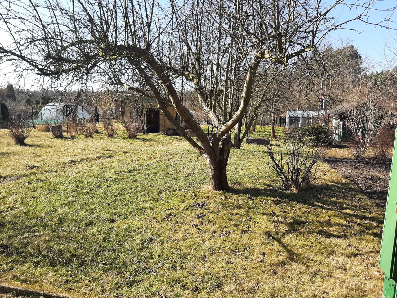 Działka rod Nowa Sól, ul. Zielonogórska. Zdjęcie 11