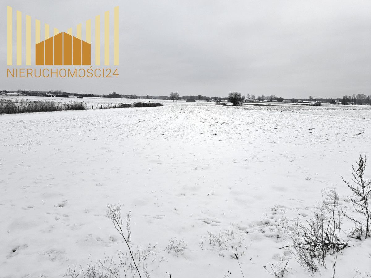 Działka siedliskowa Siennica. Zdjęcie 6