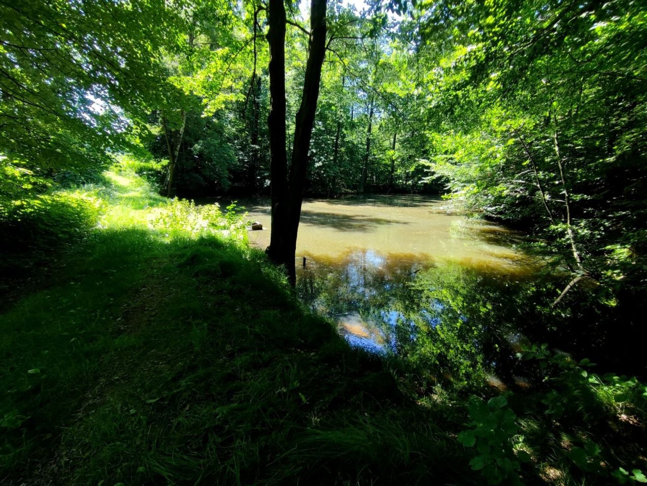Działka rolna Osiek, ul. Podlesie. Zdjęcie 7
