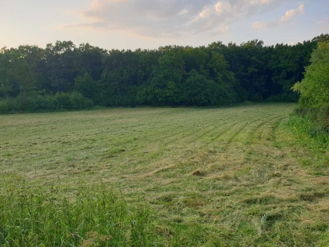 Działka rolno-budowlana Widuchowa. Zdjęcie 1