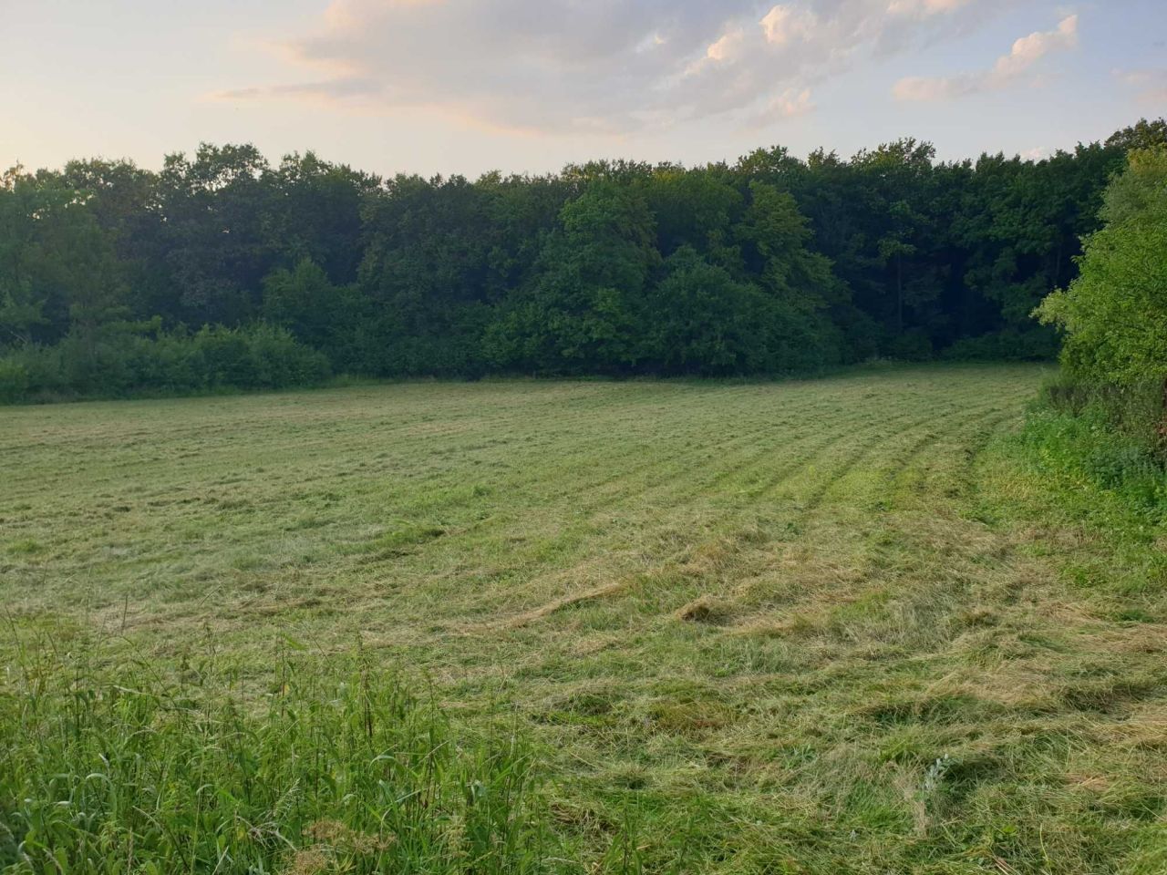 Działka rolno-budowlana Widuchowa