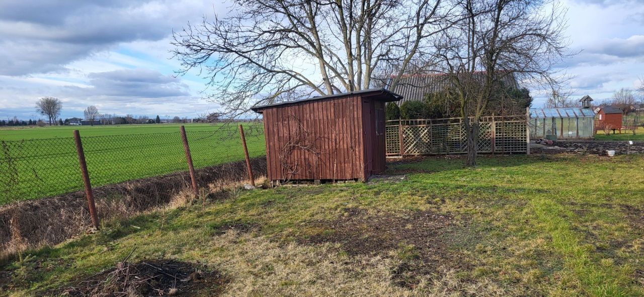 Działka rod Tczew. Zdjęcie 4