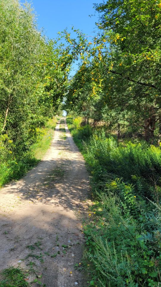 Działka budowlana Cierzpięty. Zdjęcie 20