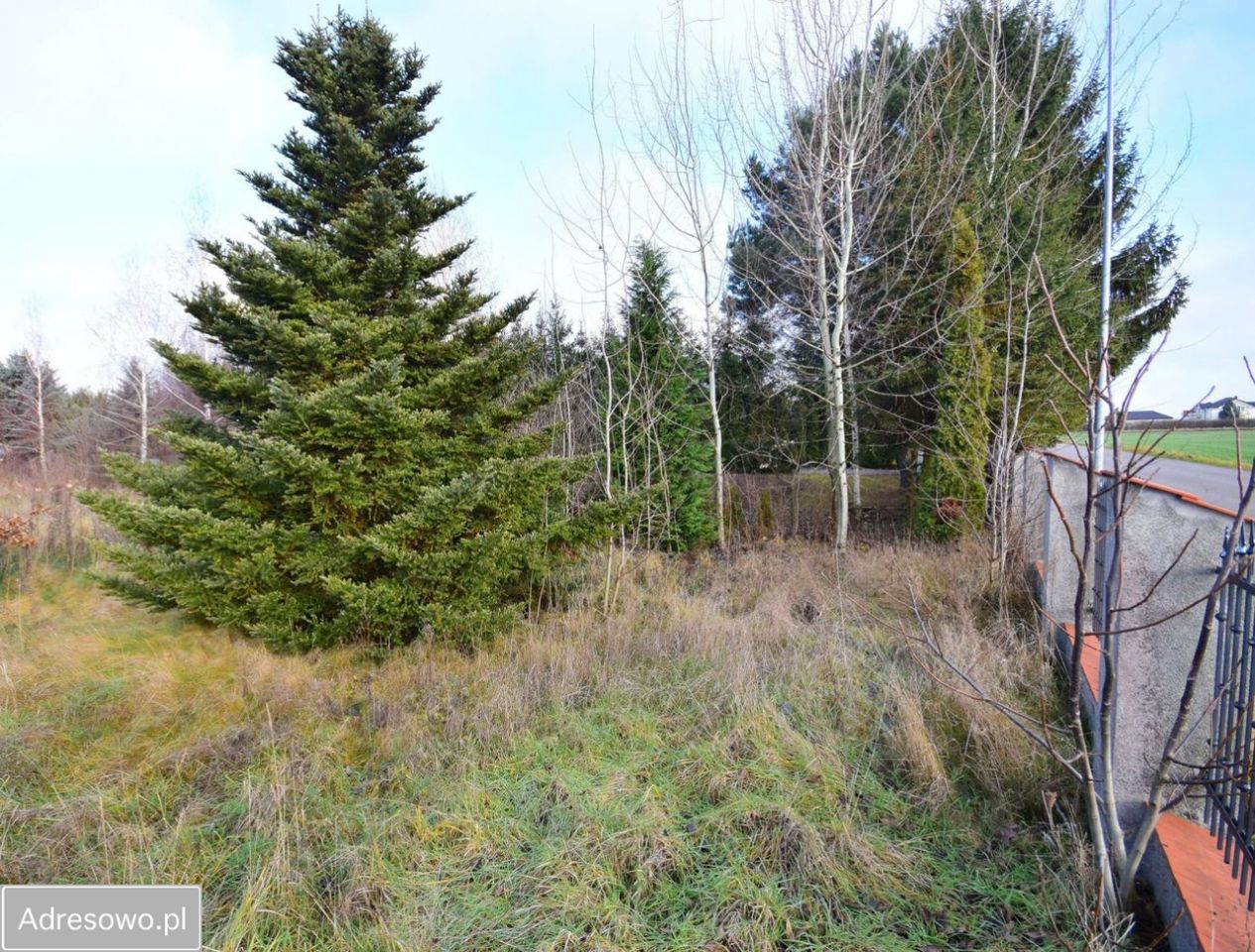 Działka budowlana Motycz. Zdjęcie 2