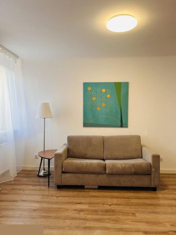 Mieszkanie 1-pokojowe Warszawa Powiśle, ul. Górnośląska. Zdjęcie 1