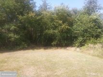 Działka siedliskowa Myśliwczów. Zdjęcie 1