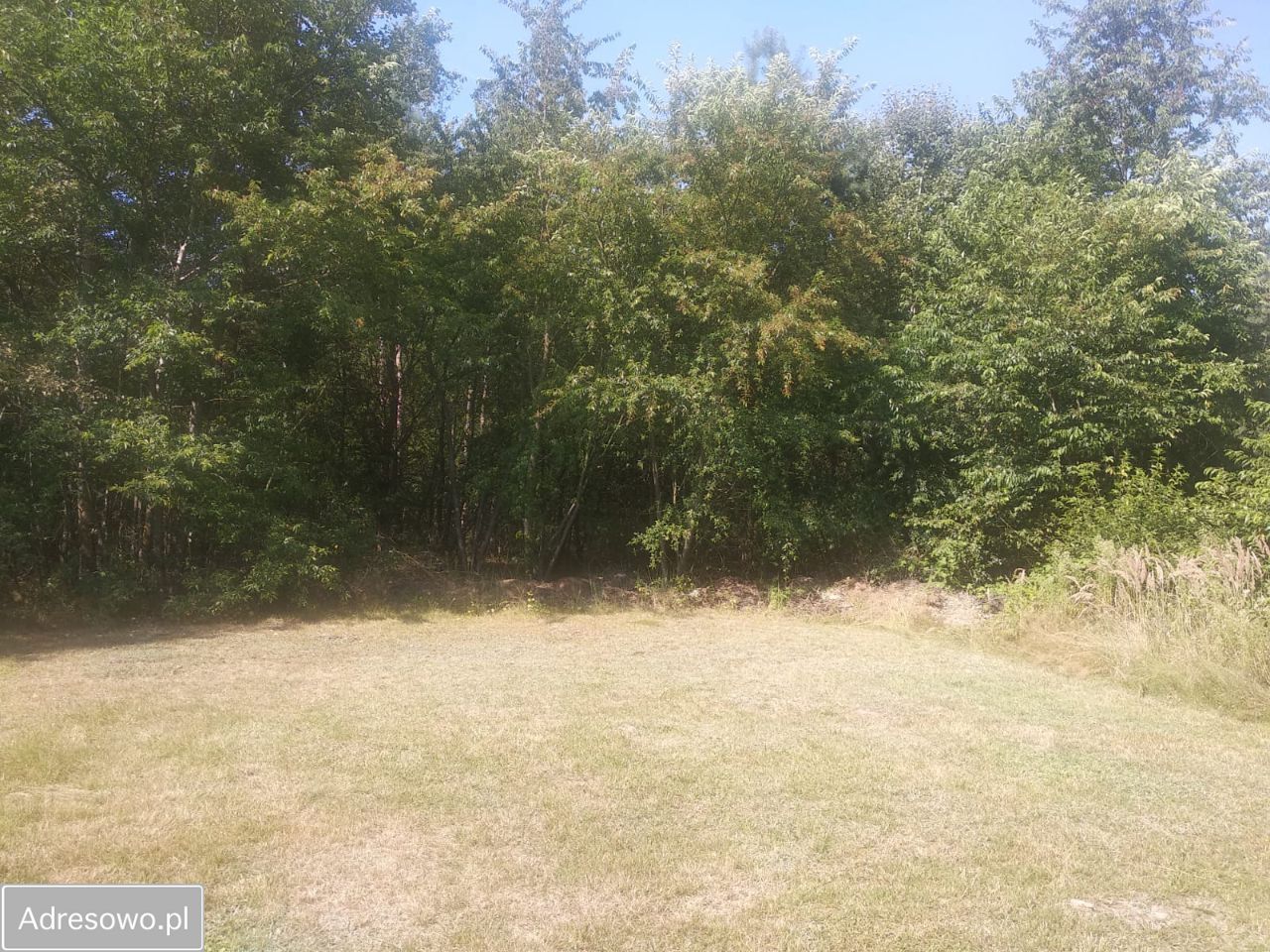 Działka siedliskowa Myśliwczów. Zdjęcie 2