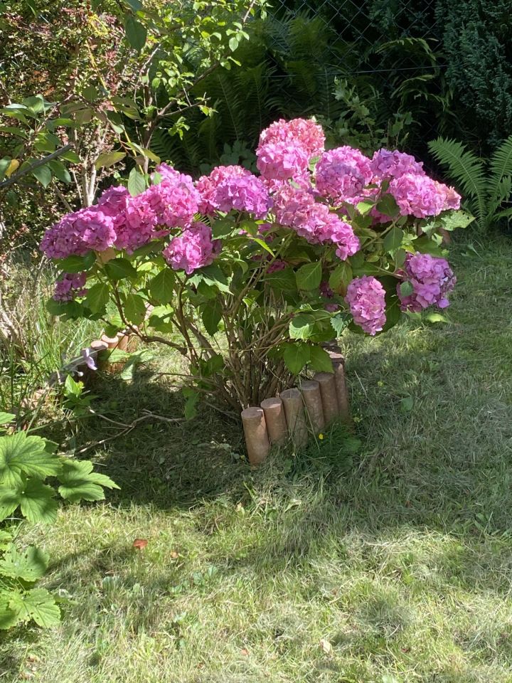 Działka rod Gdynia Mały Kack, ul. Grodnieńska. Zdjęcie 29