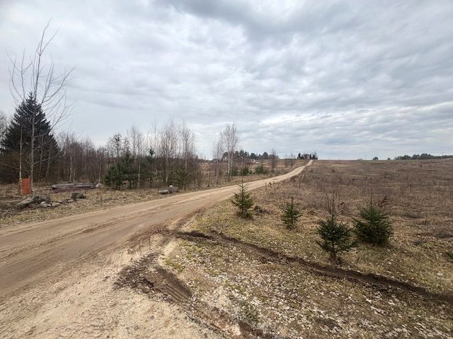 Działka rolna Czarna Wieś Kościelna, ul. Zacisze. Zdjęcie 6