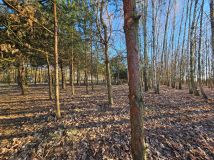 Działka budowlana Łukawska Wola. Zdjęcie 2