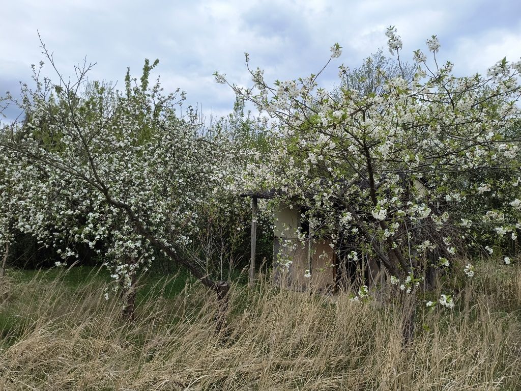 Działka rekreacyjna Wrocław Wojnów