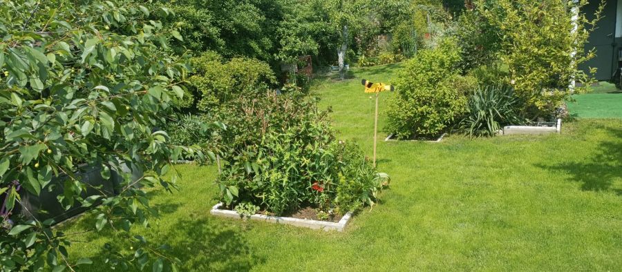 Działka rod Gdynia Obłuże, ul. Zielona. Zdjęcie 4