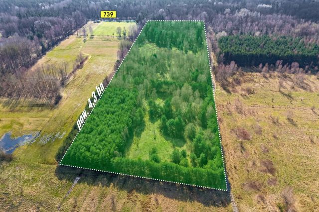 Działka rekreacyjna Sobieńki. Zdjęcie 2